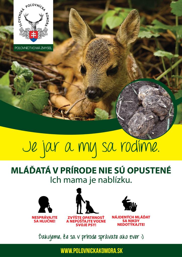 mladata